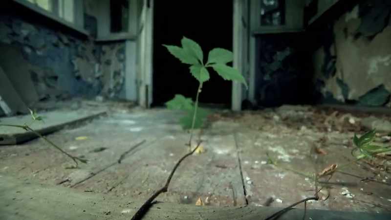 Pripyat may well be the last place on earth