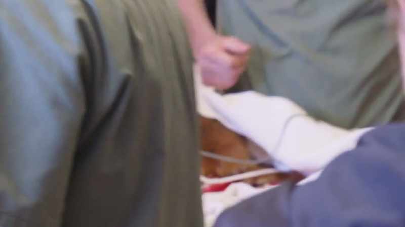 Priscilla: Blood pressure's gone up