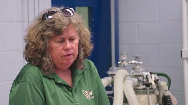 Priscilla and the veterinary team did everything they could