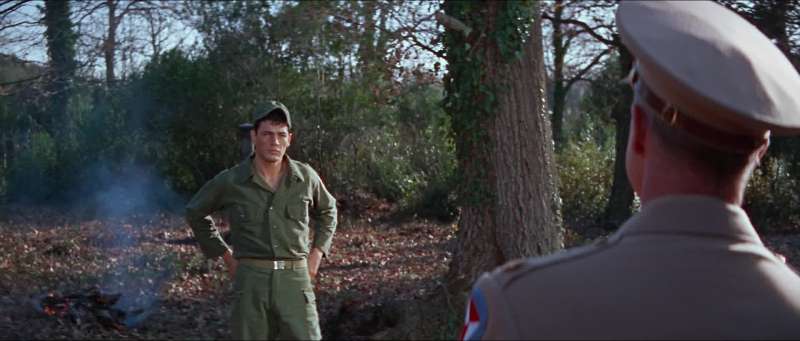 Private the whole idea was in the big oak tree
