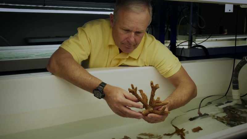 Professor Chris Langdon shows me what this might mean