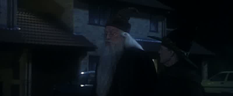Professor, I would trust Hagridwith my life