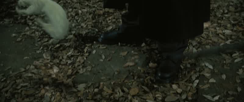 Professor Moody!