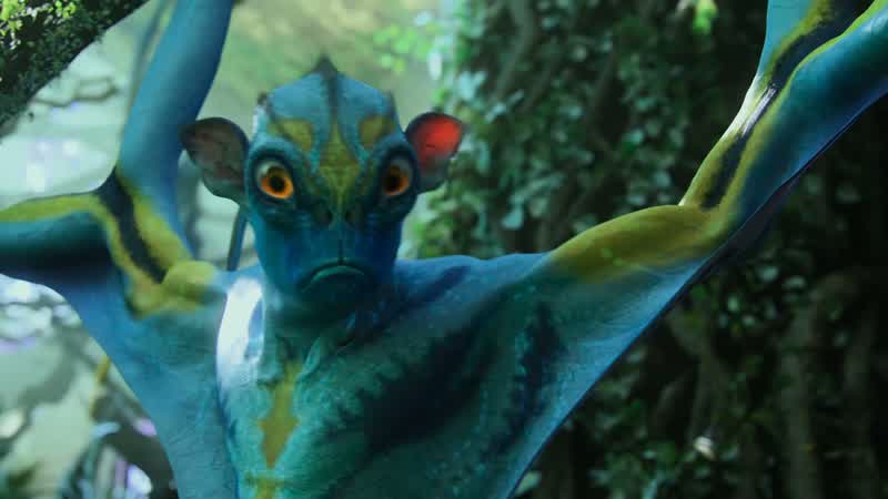 Prolemuris