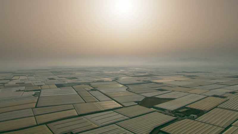 Protected wilderness now covers less than 4% of its surface
