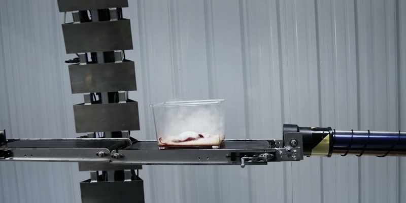 Protein breakdown, quantum coherence breakdown