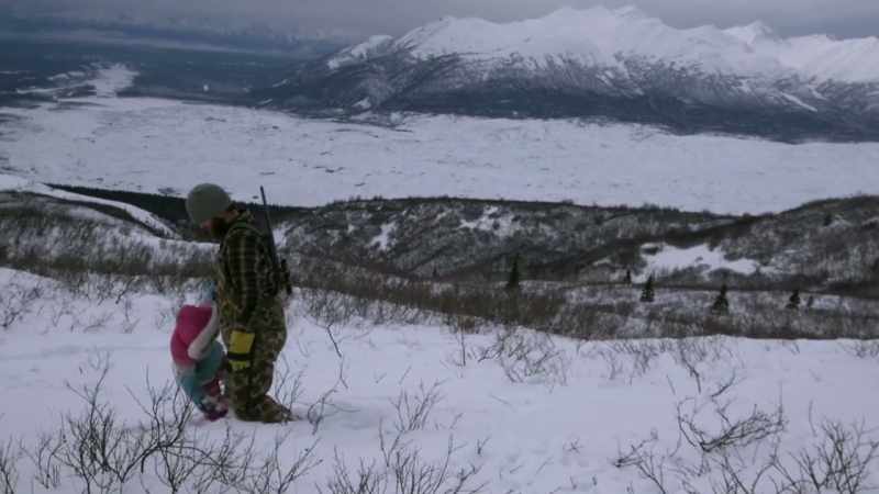 Ptarmigan are a small grouse species
