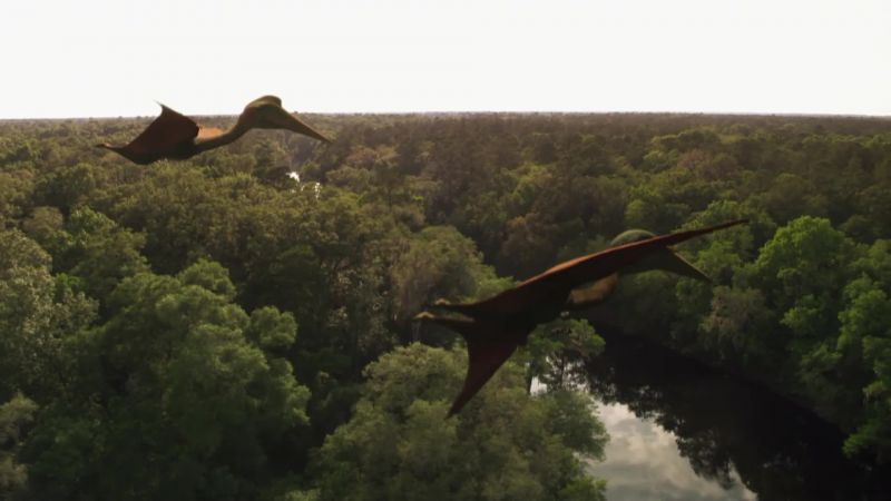(pterosaur bellows)