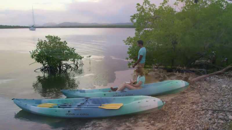 Puerto Rico has a rich ecological landscape