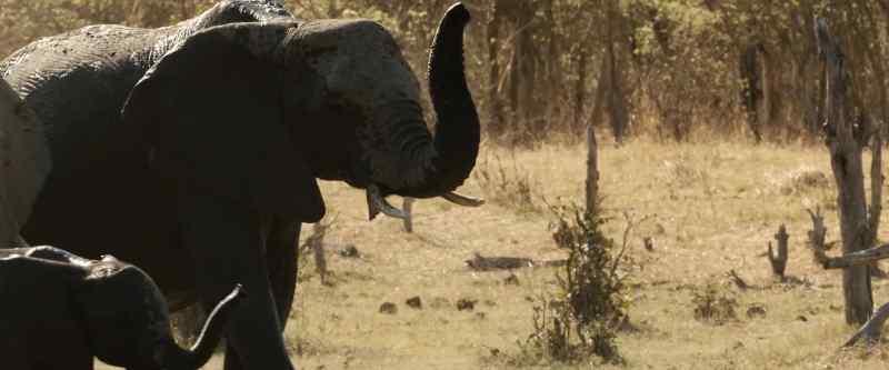 Pula's family must press on…