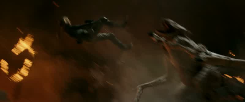 Pull! -Pull her in the cage! -Do it now!