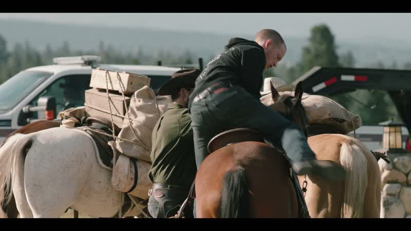 Pull the reins to stop