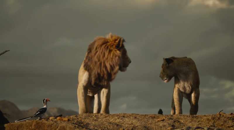 (PUMBAA AND TIMON PANTING HEAVILY)