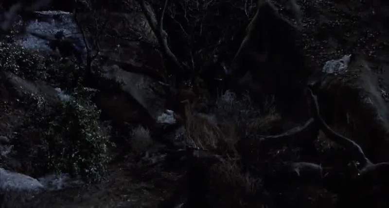 I think we lost them