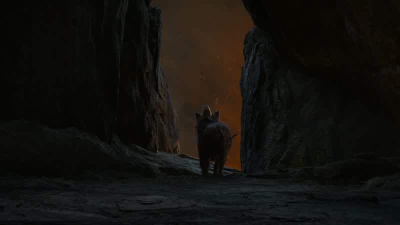 Pumbaa, I think we lost them