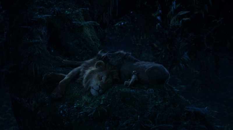 (PUMBAA LAUGHS)