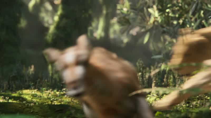 Pumbaa!