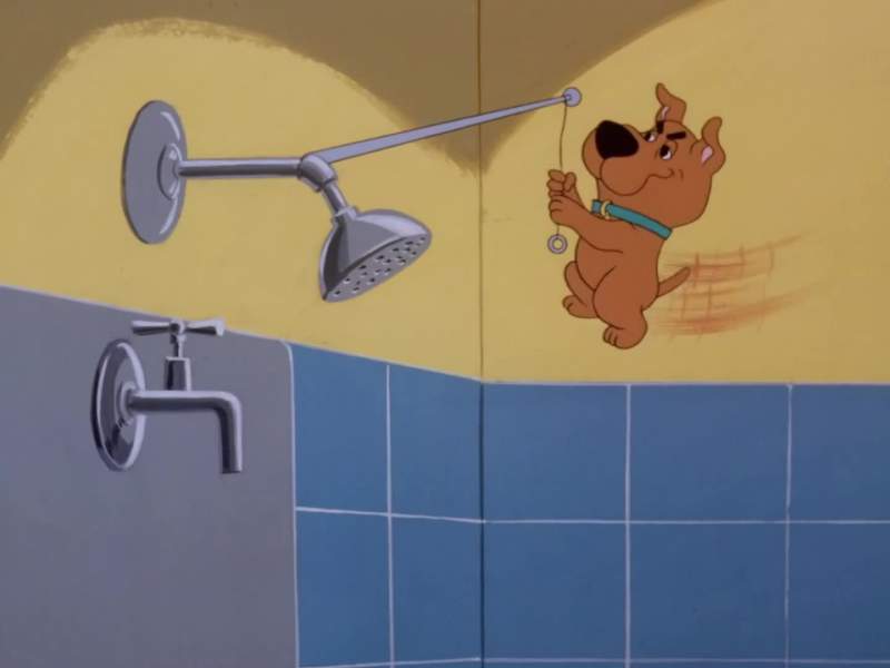 Puppy power