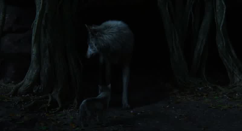 Pups? They're up there