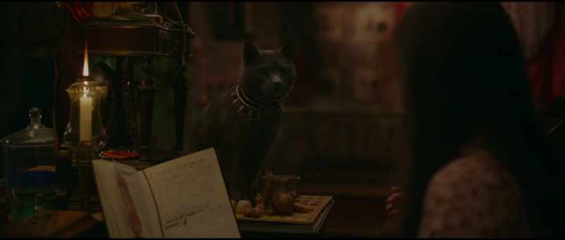 [purring]