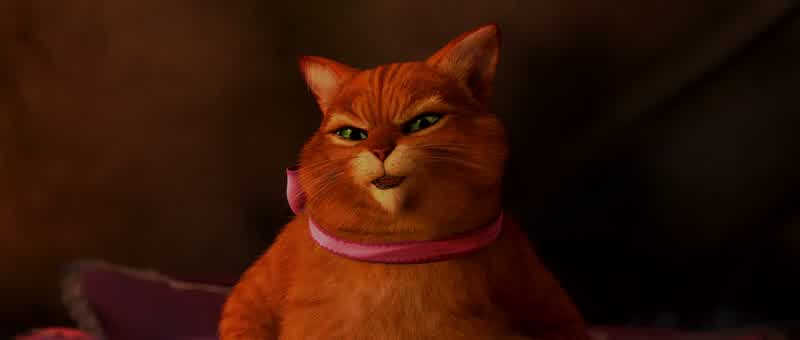 Puss what happened to you You got so fafancy Do I know youWell where's your hat Where's your beltYour wee little bootsBoots For a cat HaBut you're Puss in BootsMaybe onceBut that is a name I have