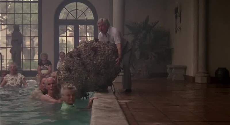 Put down that cocoon