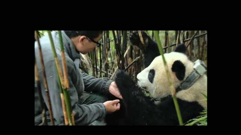 Qian qian trusted xiao bi