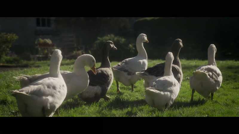 [quacking]