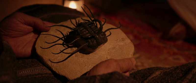 Que son las carcasas de demonios muertos
