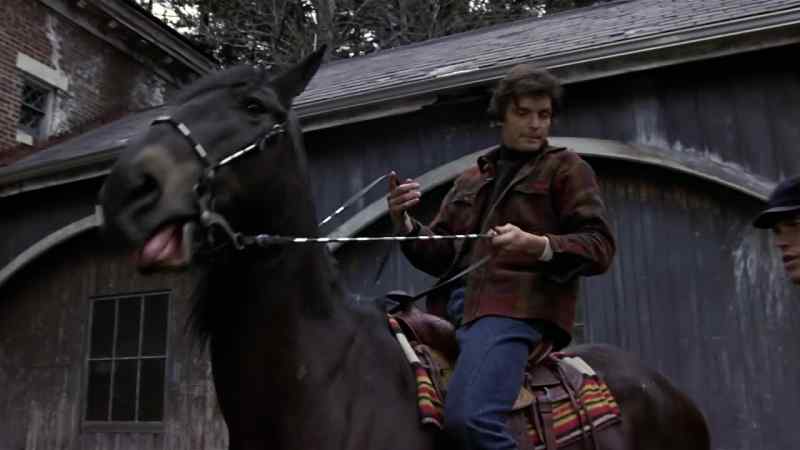Quentin: Good-looking horse
