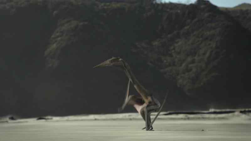 Quetzalcoatlus, a giant pterosaur