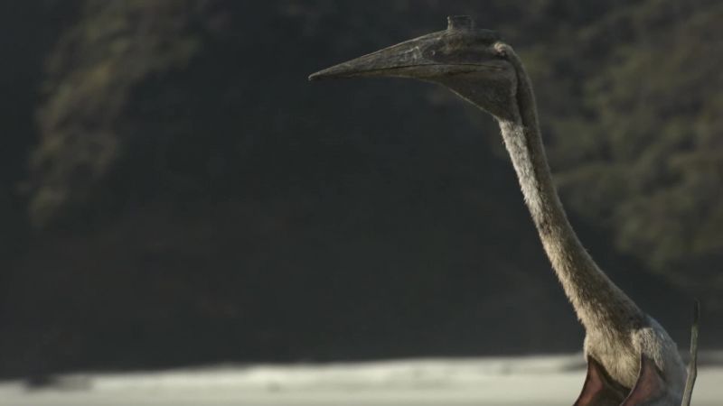 Quetzalcoatlus, a giant pterosaur