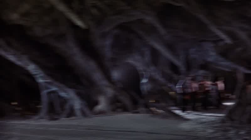 Quick, hide the Daemon Ritus