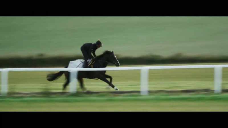 Quite convinced if he stayed in training next year he'd be the champion miler