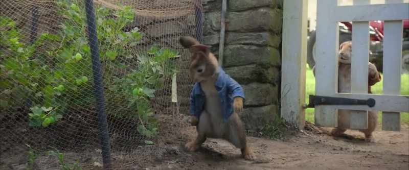 Rabbit, I'm gonna put you in a pie