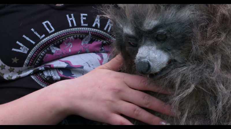 [raccoon warbles]