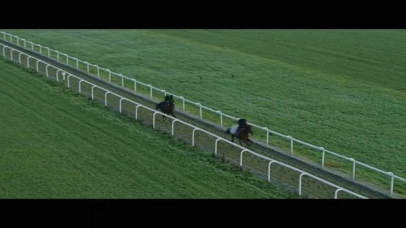 Racehorses will weigh about half a ton