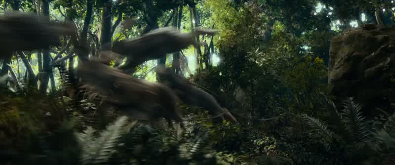 RADAGAST: Thieves!