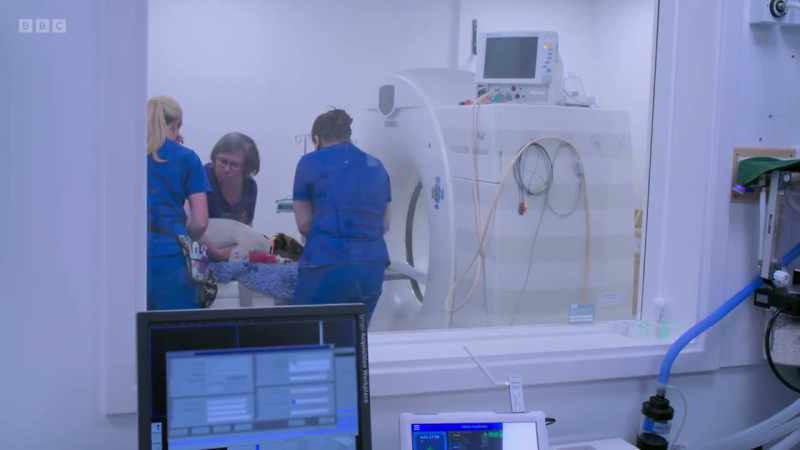 Radiographer Jo used to oversee humans