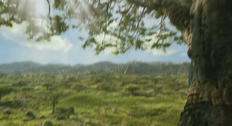 Rafiki