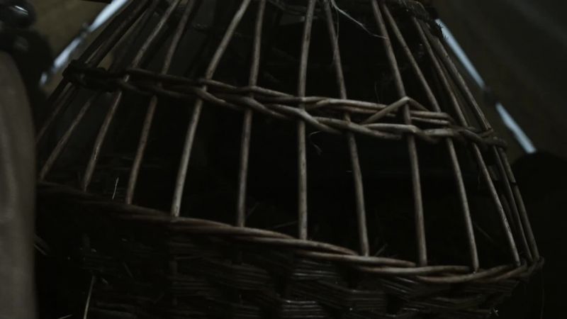 Ragnar: Release the ravens
