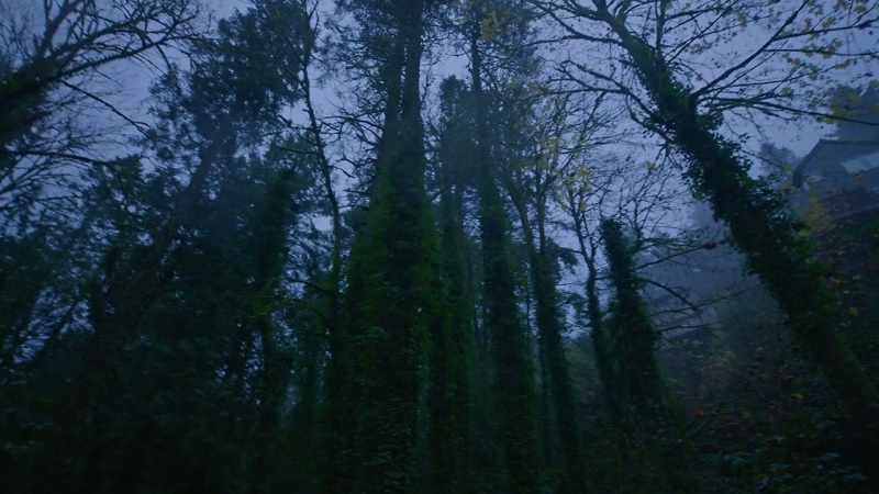 (rain falling)