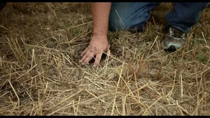 Rain falls on bare soil, it's going to run off