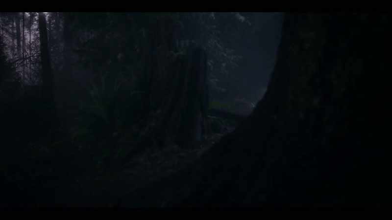 [rain pattering] -[animal howls]