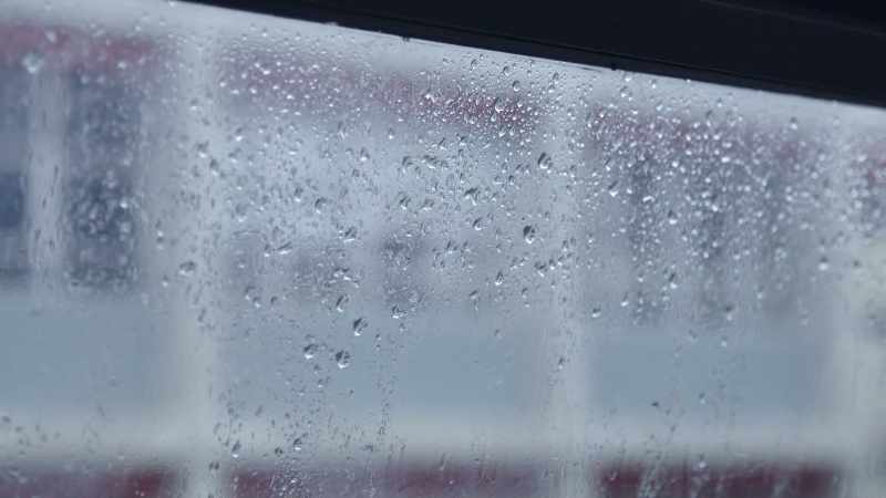 [rain pattering]