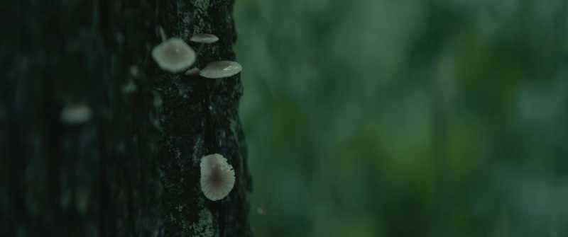 [rain pattering] -[soft piano music]