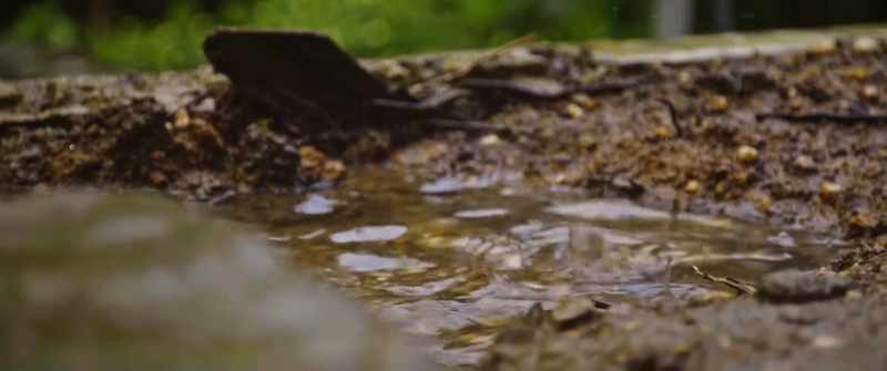 (rain spattering)