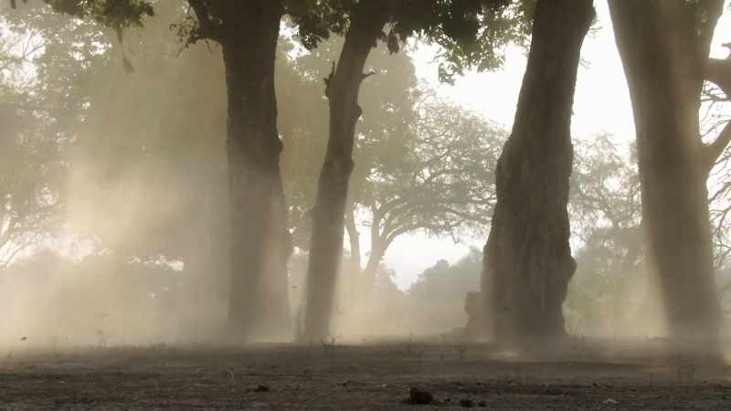 Rainfall is increasingly unpredictable