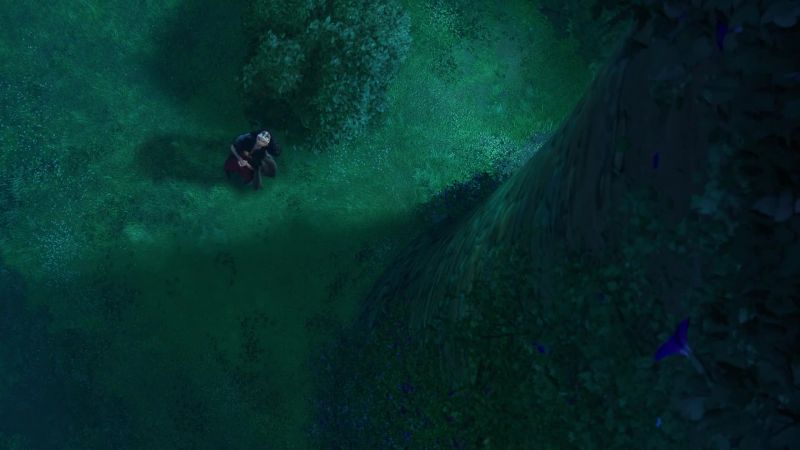 Rapunzel, let down your hair