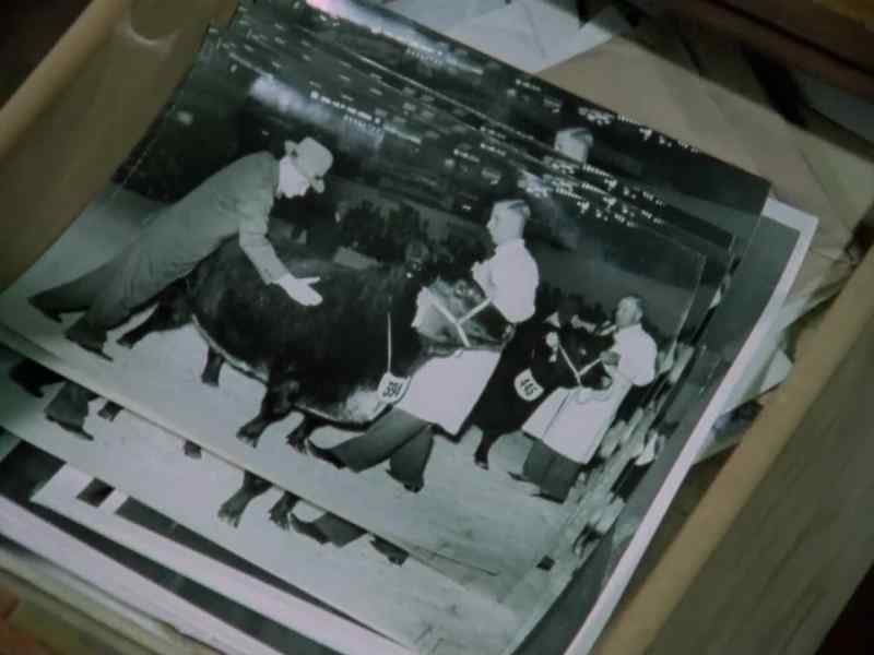 Raskado Fallcastle was a retired ship's navigator